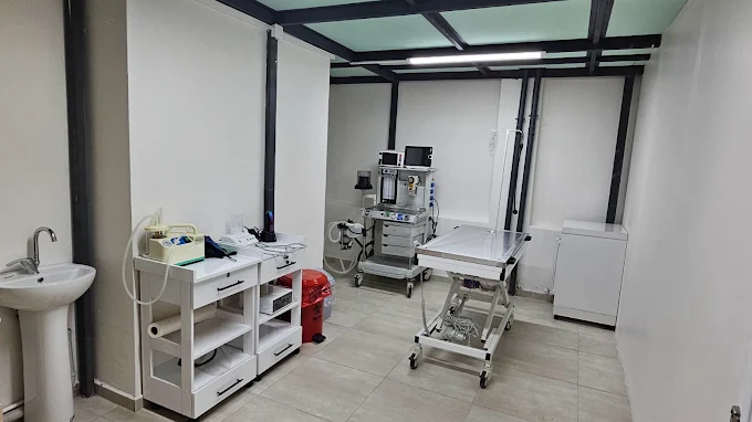 Erzurum veteriner cerrahi operasyon ve ameliyathane odası