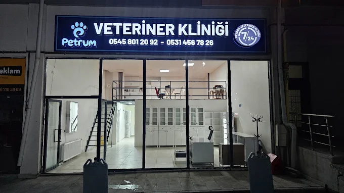 Erzurum 7/24 acil veteriner kliniği nöbetçi gece görünümü